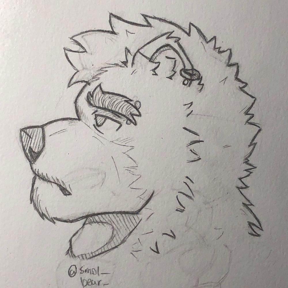 smol_bear_draws