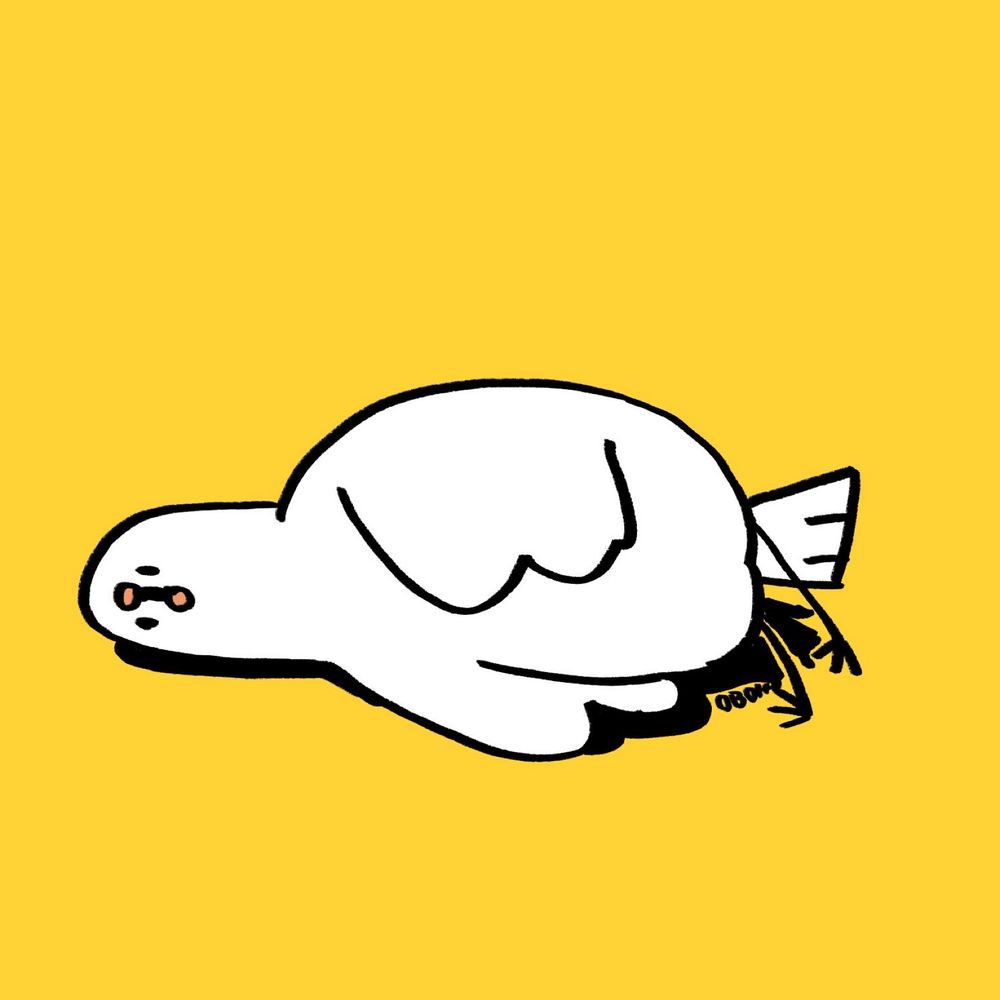 には
