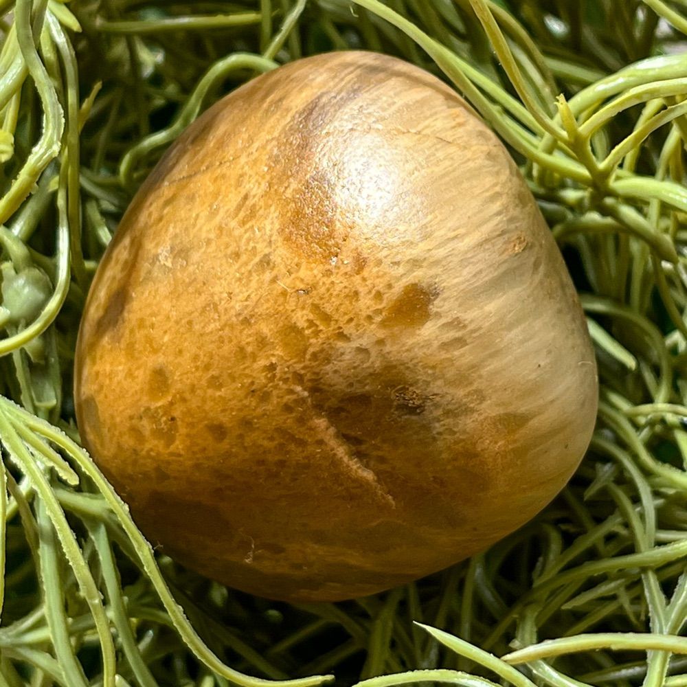 orockular