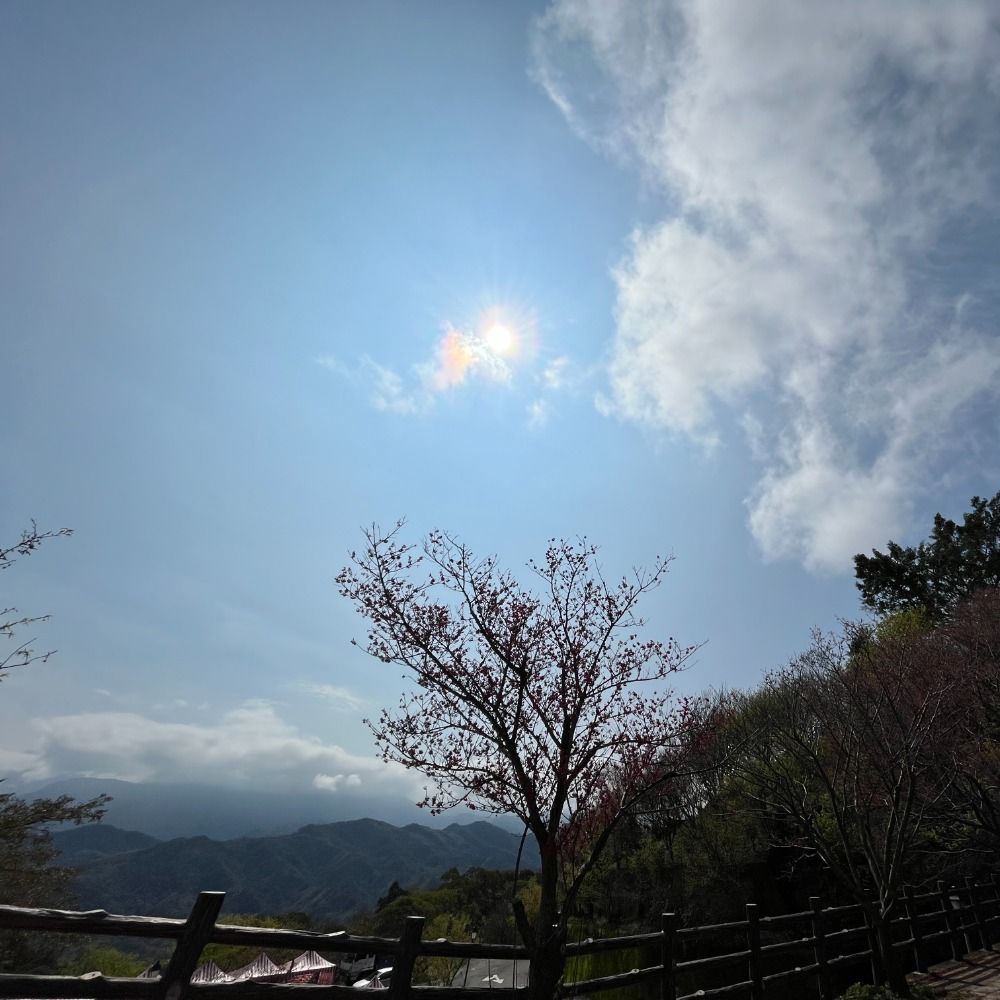 燃