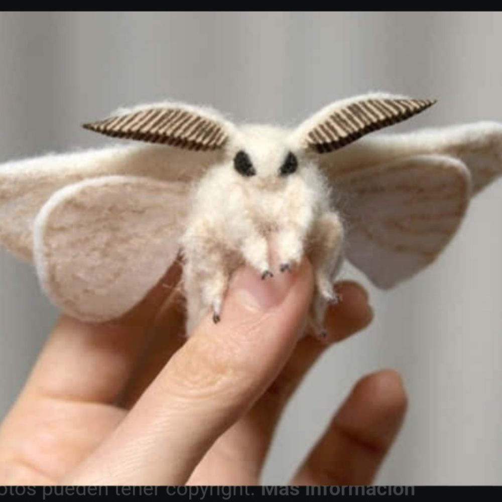 Moth Mann