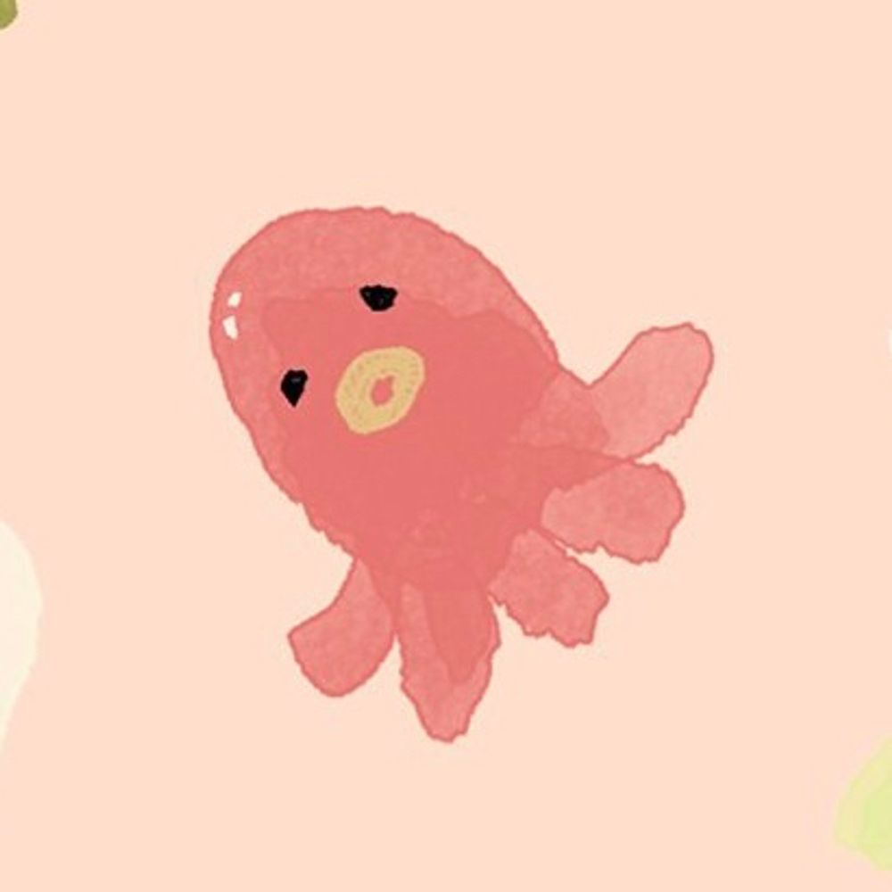 ᴍʏᴏᴄᴏ