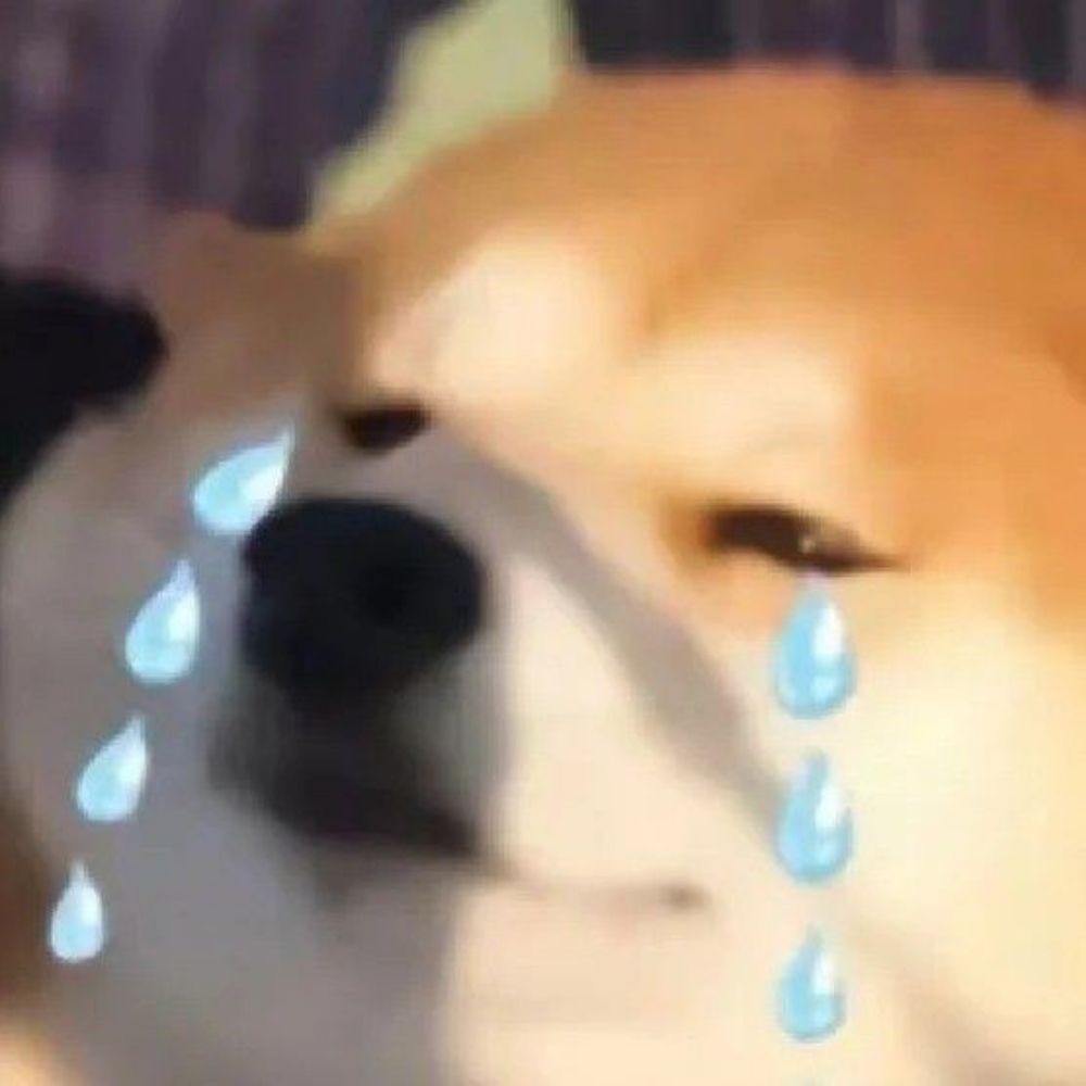 狗狗