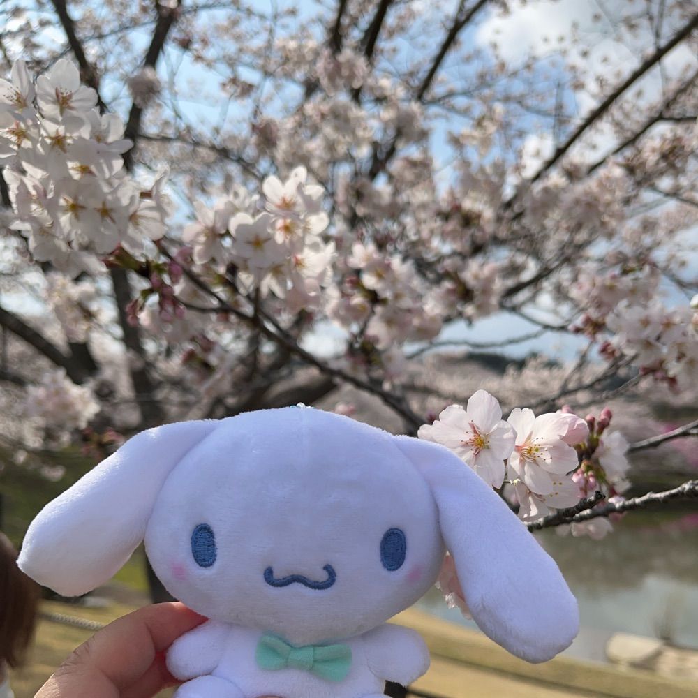 つのんちゃん2
