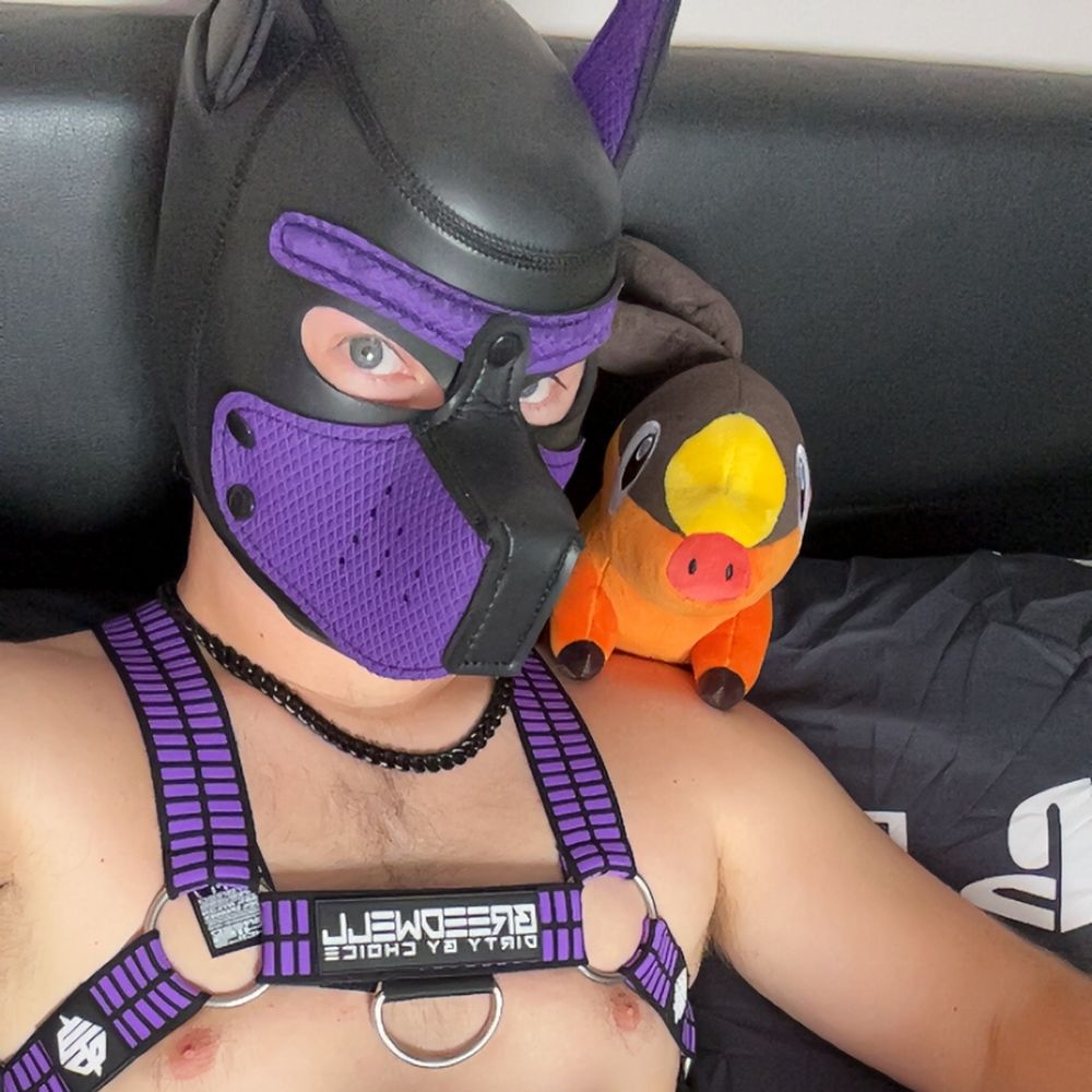 ShortPupKing