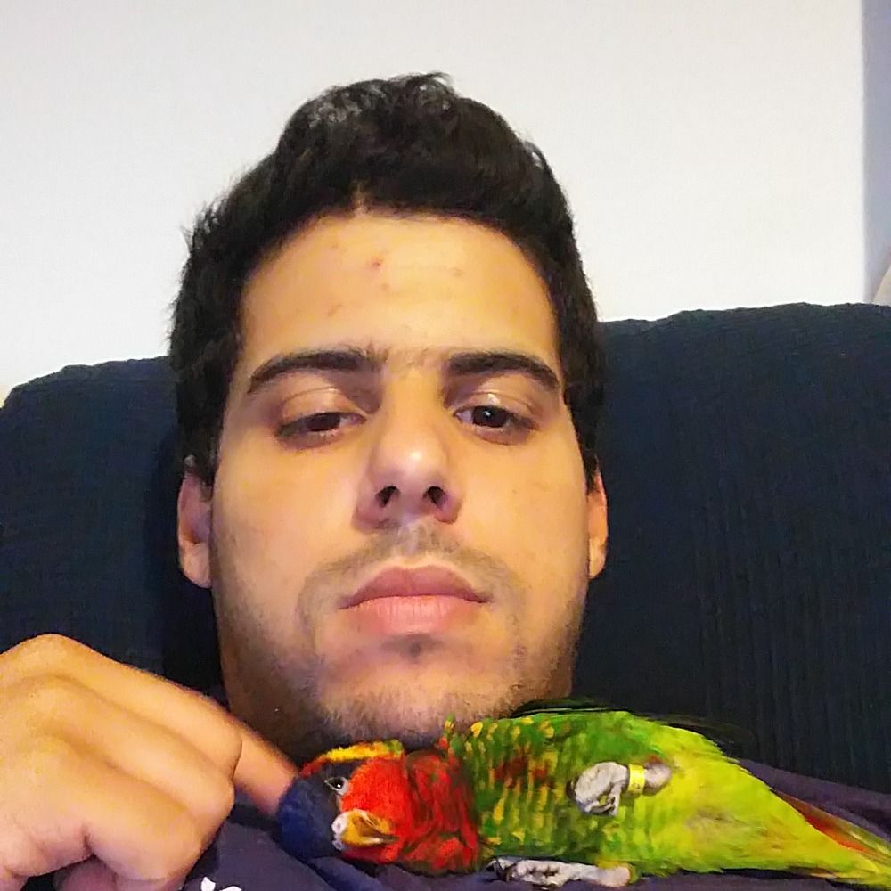 uria shoshani