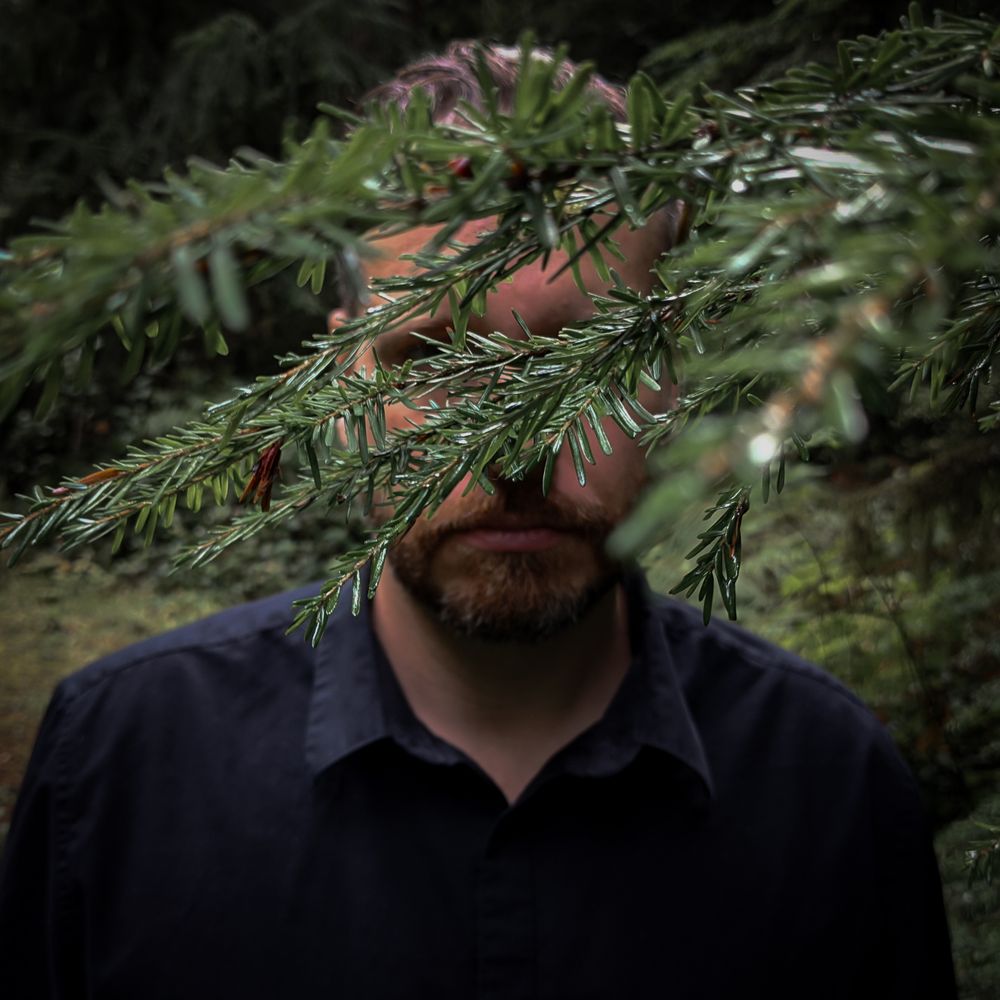 The Phantom Pines