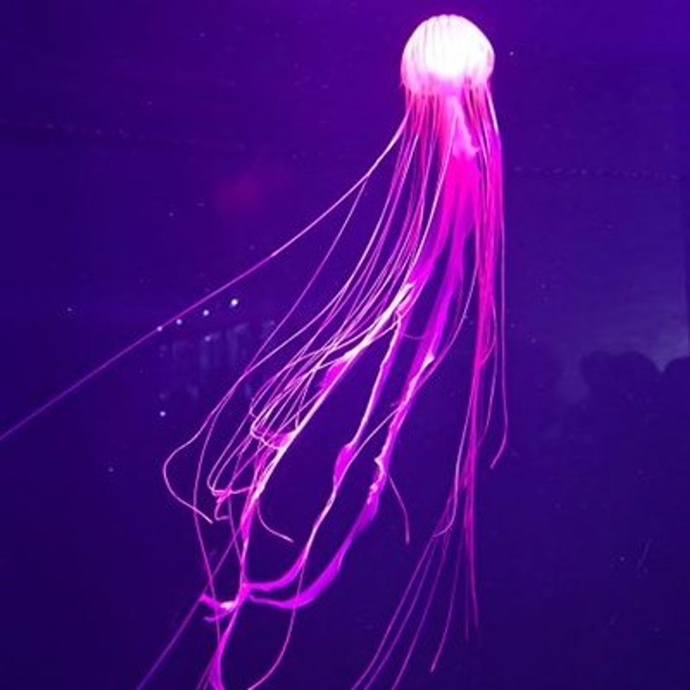 水