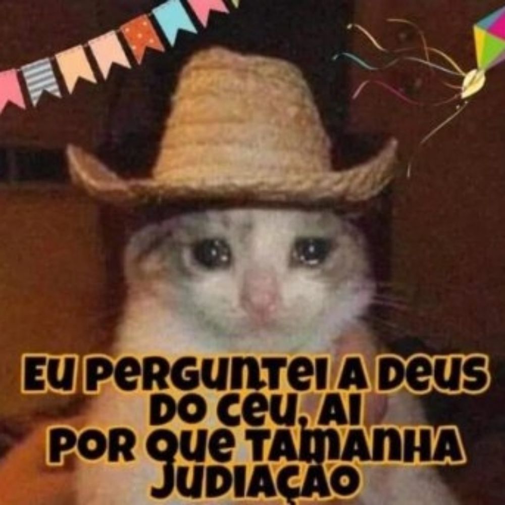 vini