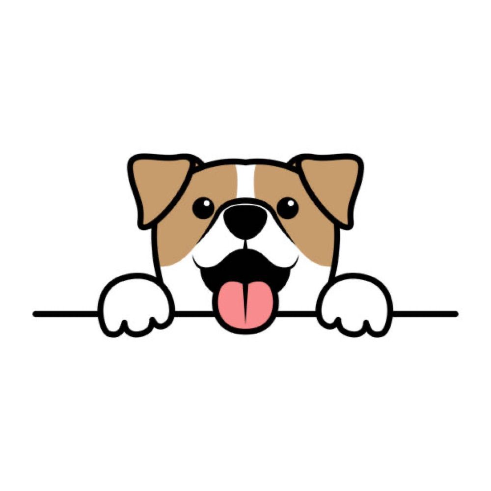 Chai🐕