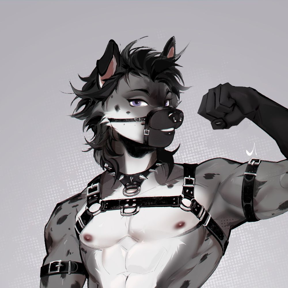 Orion