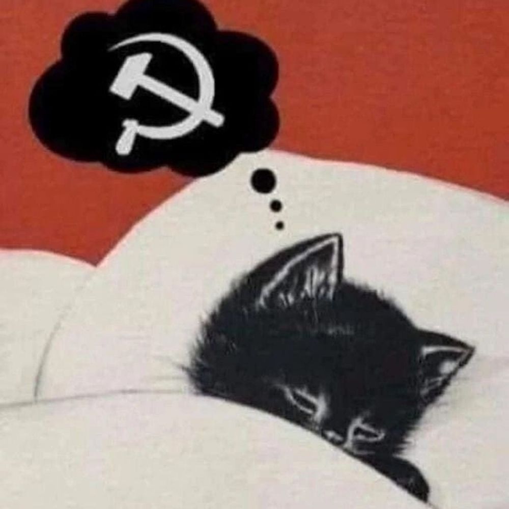 l.