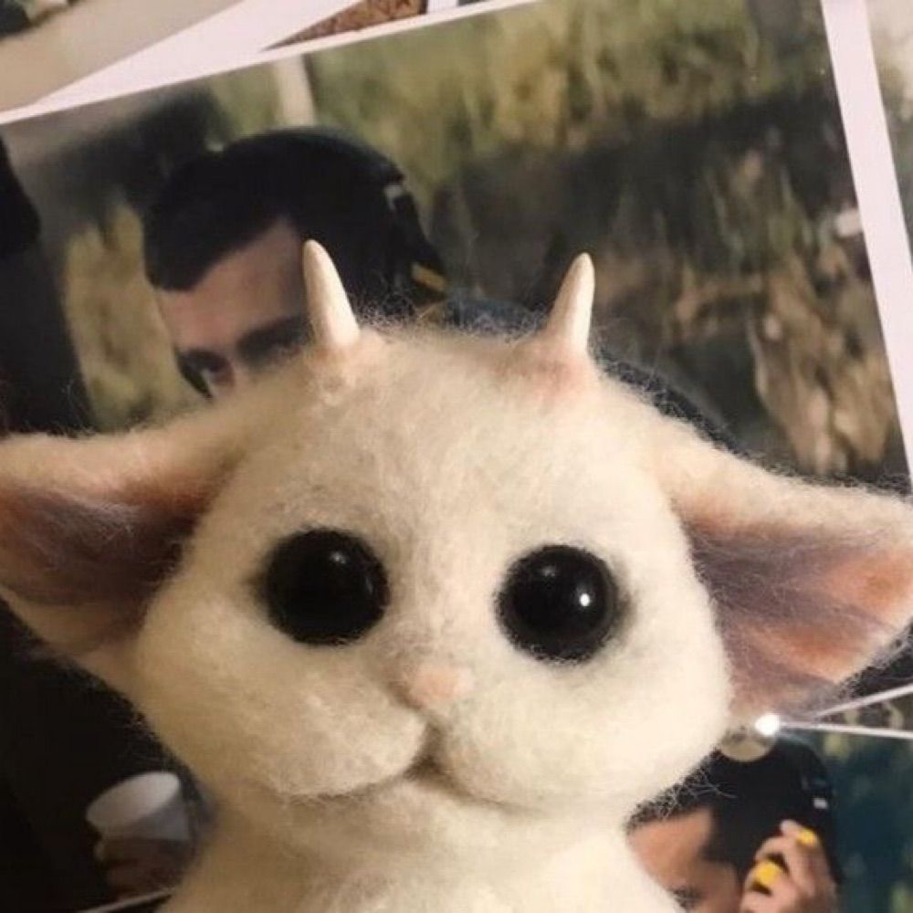 Ned of blusky
