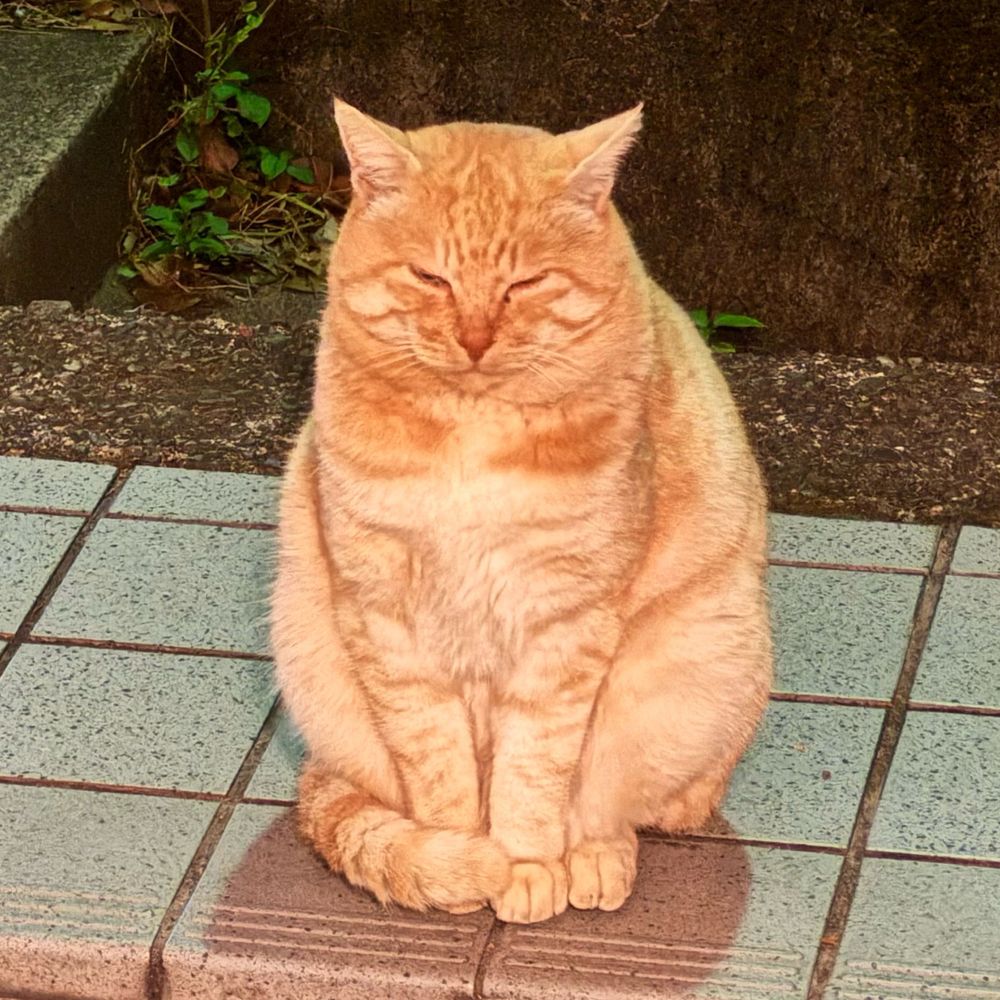 まじまじん