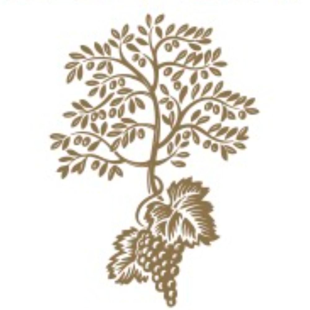 OlivinoLife