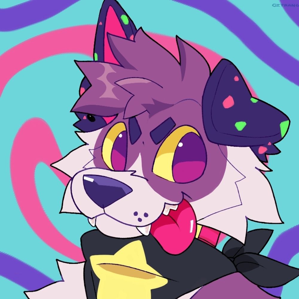 SYD! 💫🐶