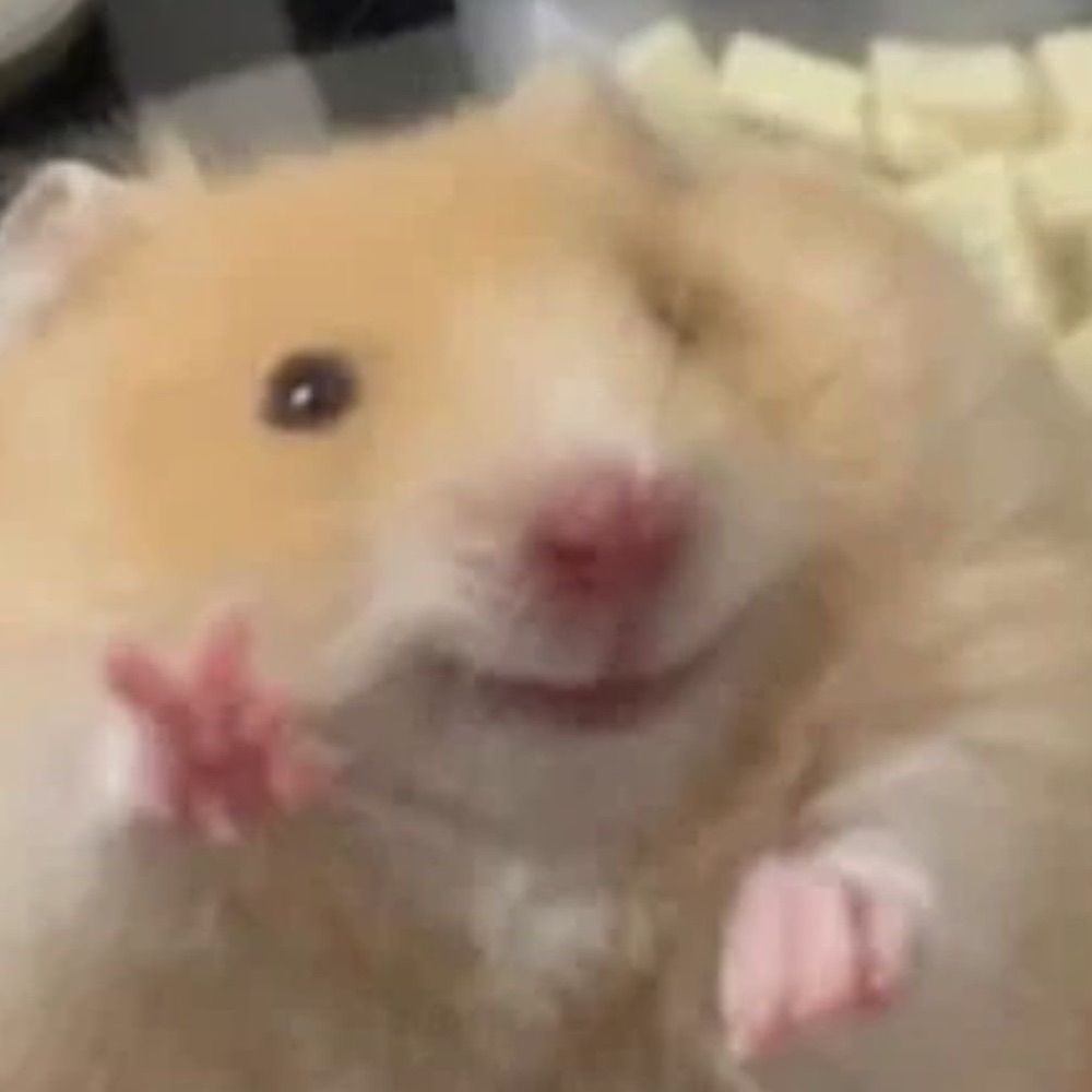 🐰