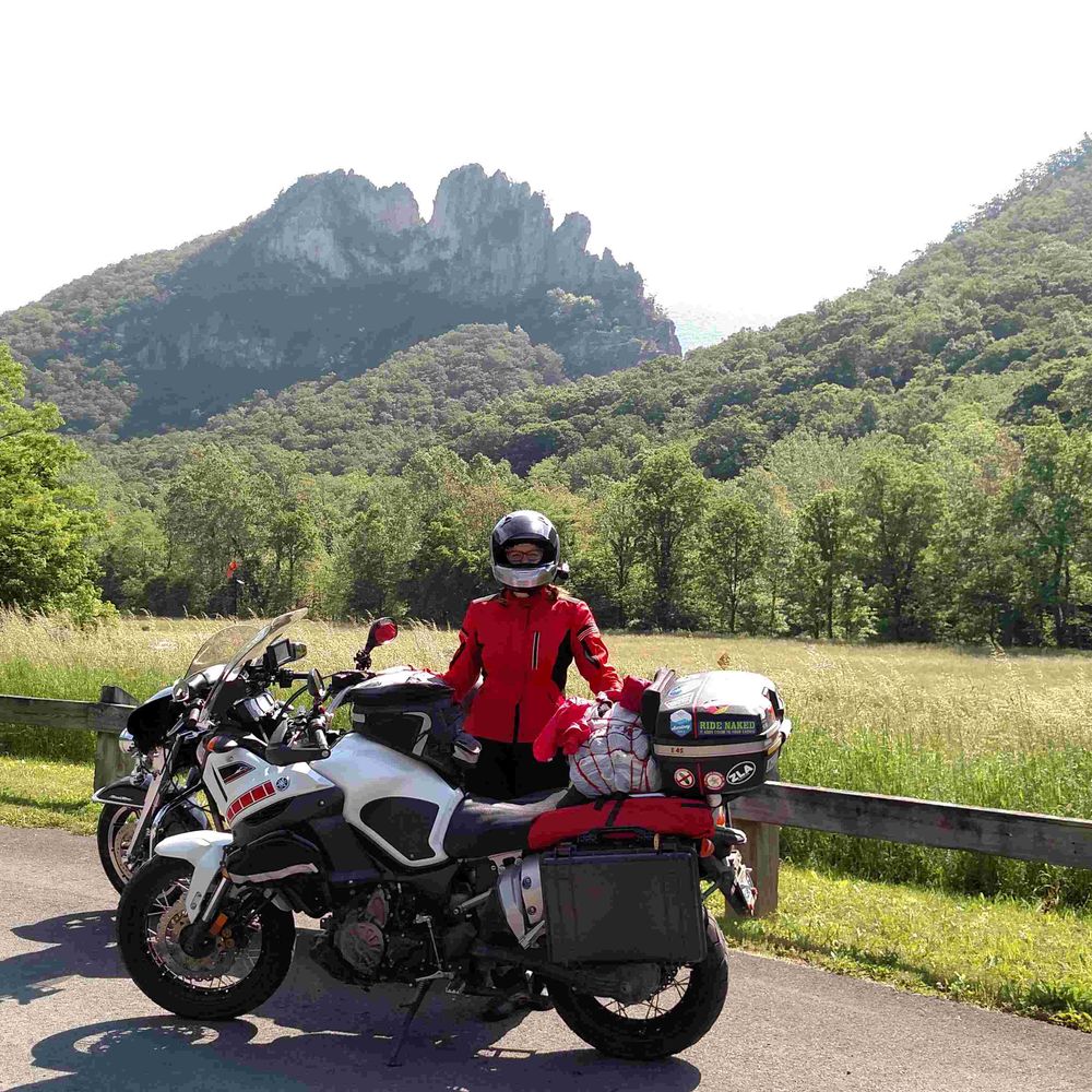 Motorcycle Muffin