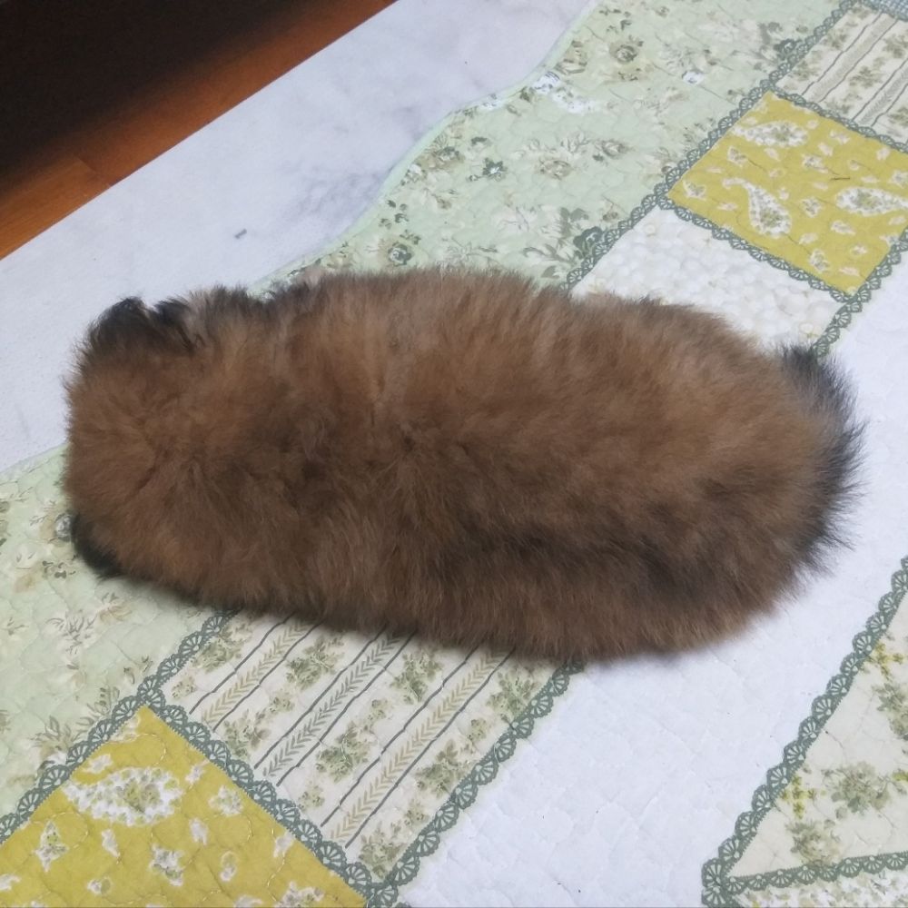 도다