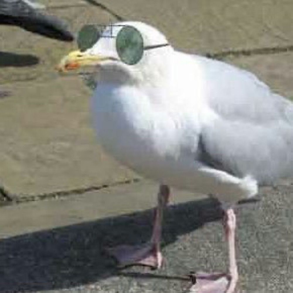 zoowee