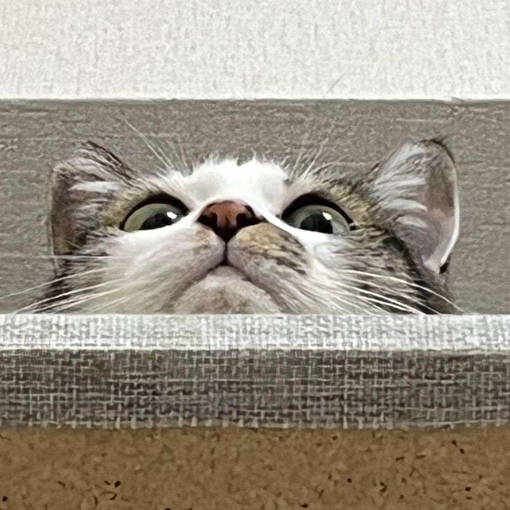 にん