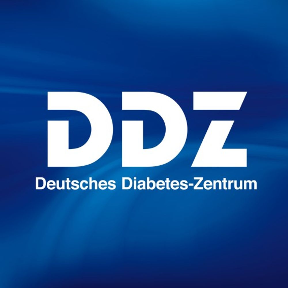 Deutsches Diabetes-Zentrum