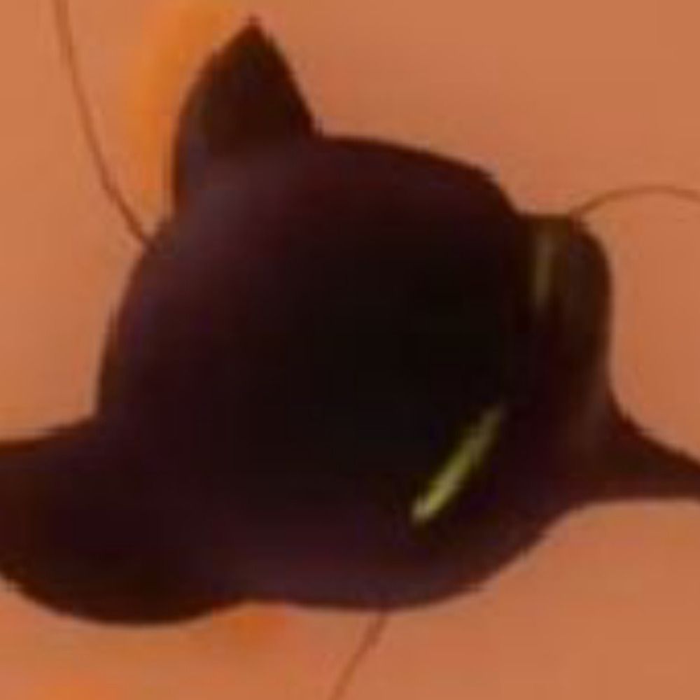 caterpillarpup