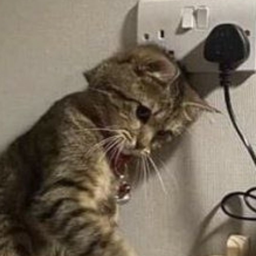 롬개핑