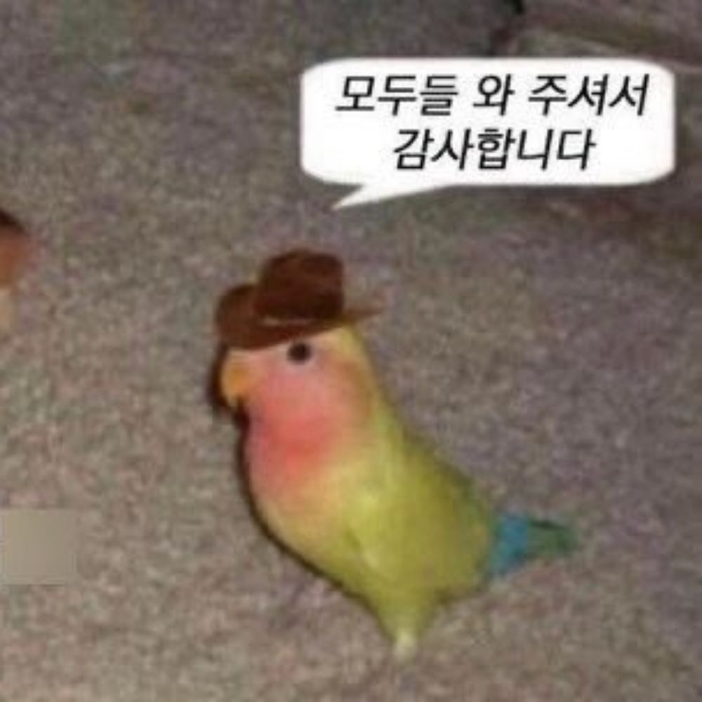 선량한 성인 구독계