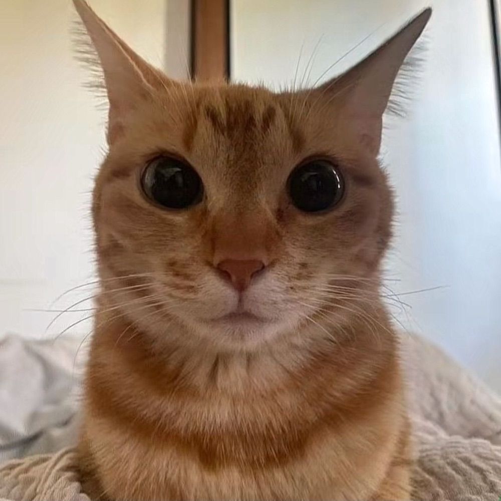 Emyindatown 