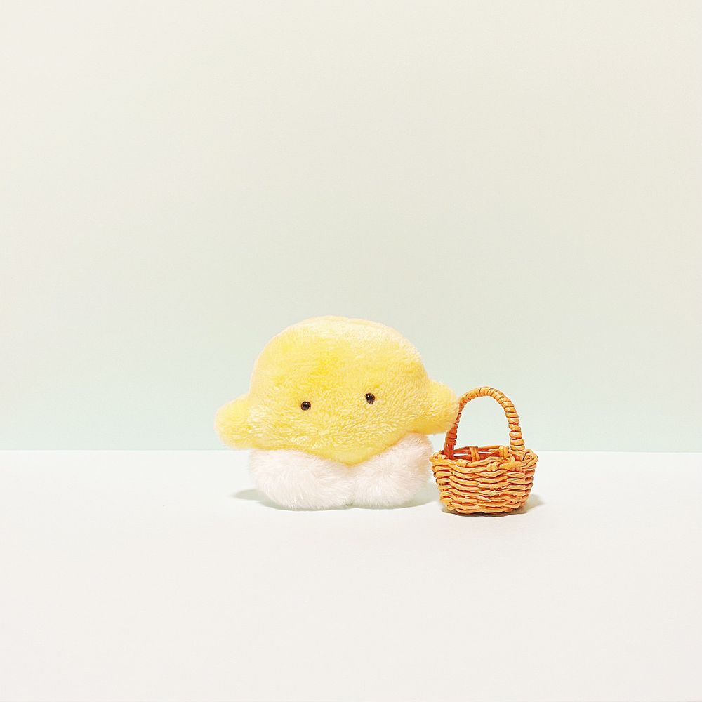 こじしま