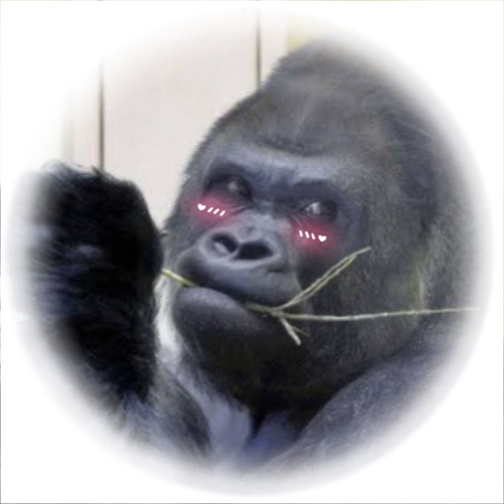 シャバネキ