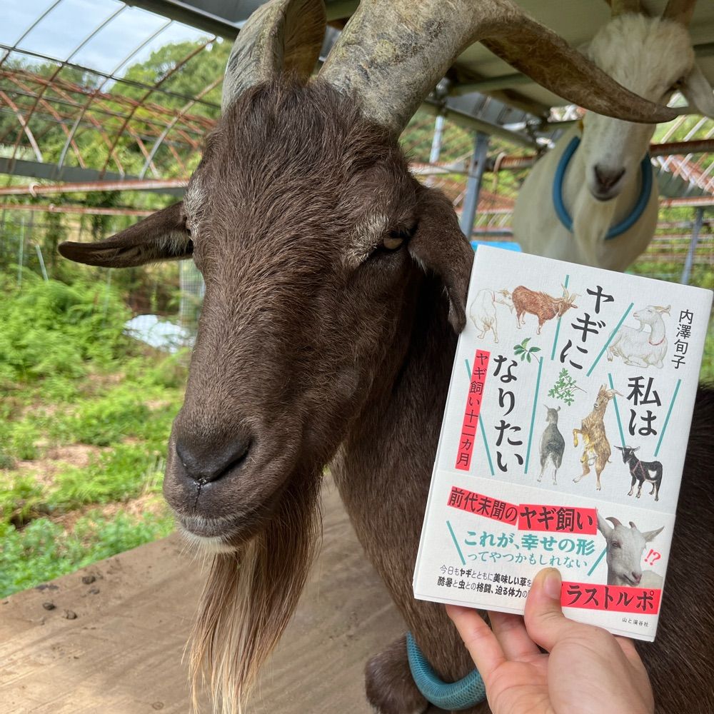 内澤旬子