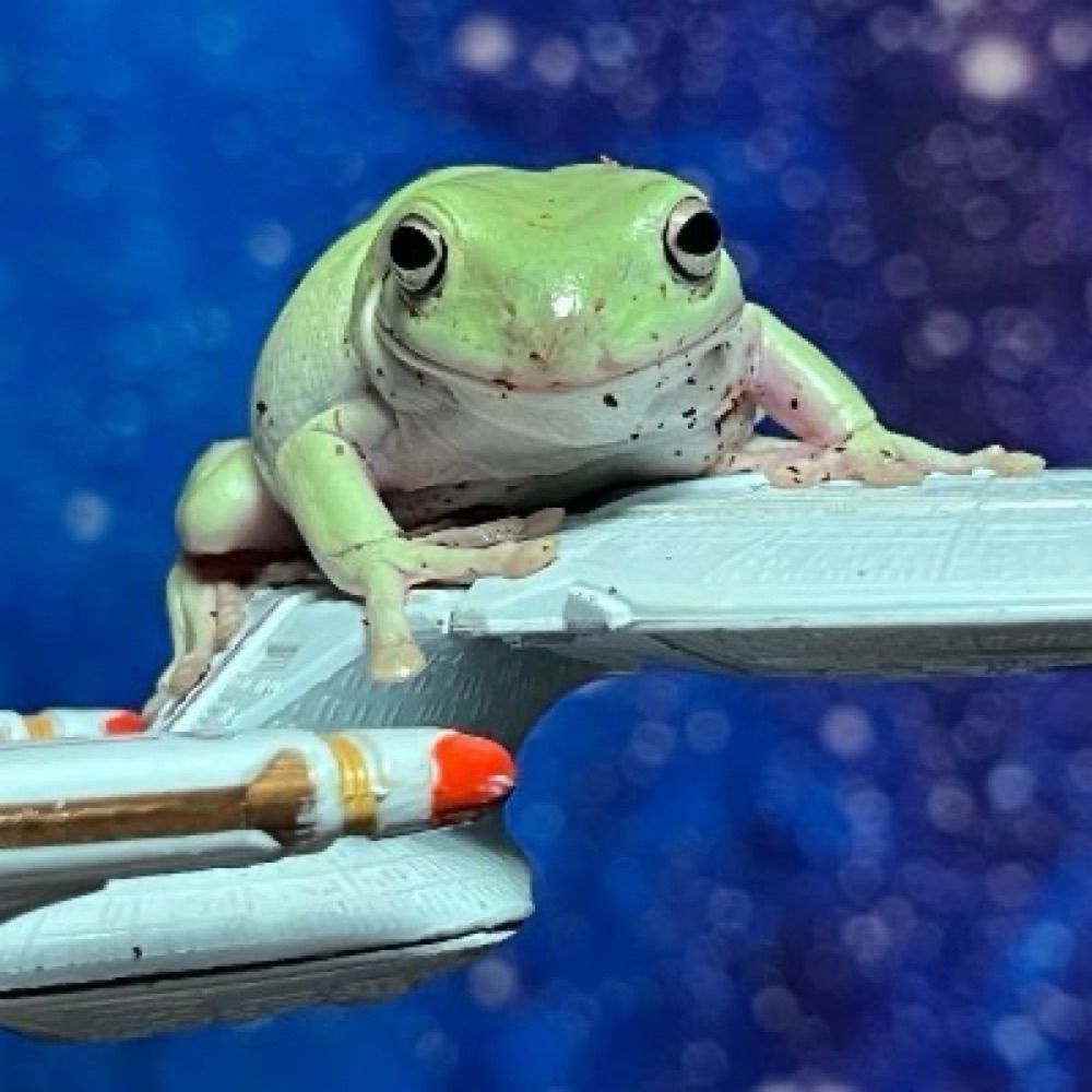 Hyperspace Frogs 🐸🚀