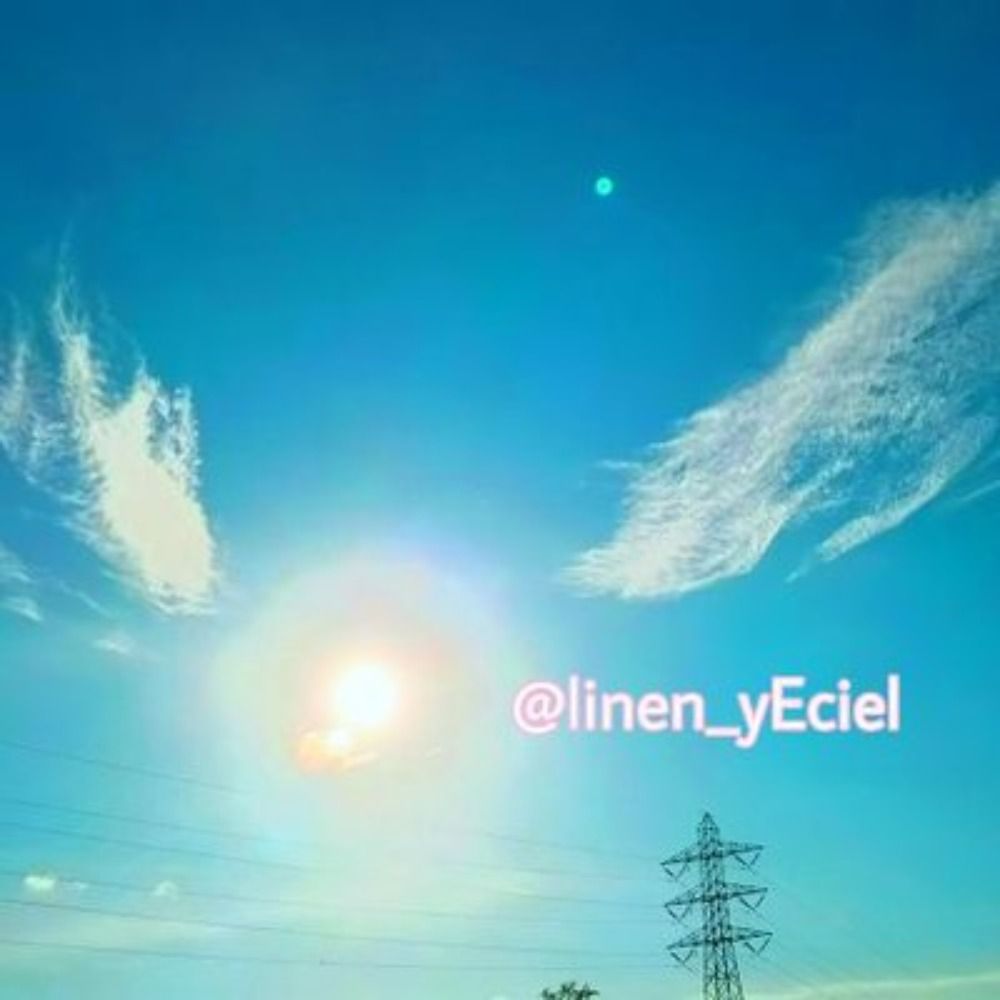 葵空
