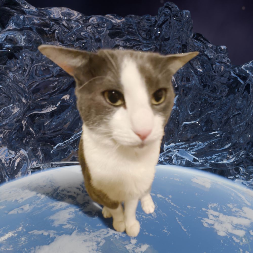 soggy cat