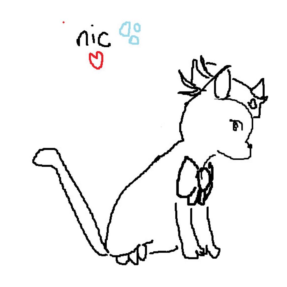 nic 🫧