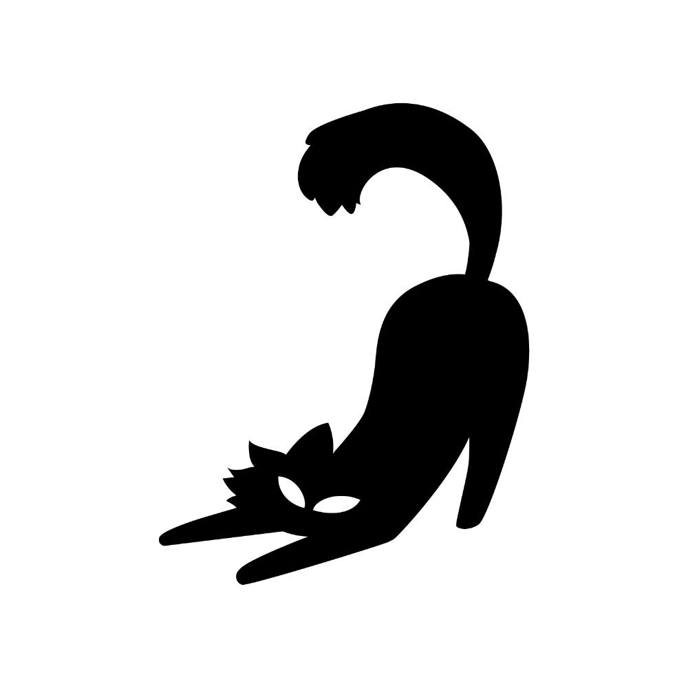 Mike Hallenbeck (Cool Cat Audio)