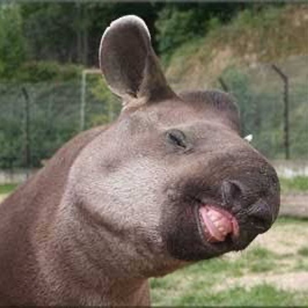 notenome.bsky.social