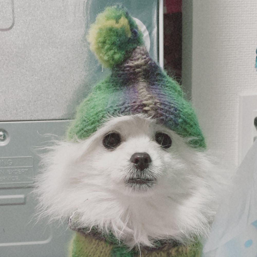 ぽめぽめおこげ