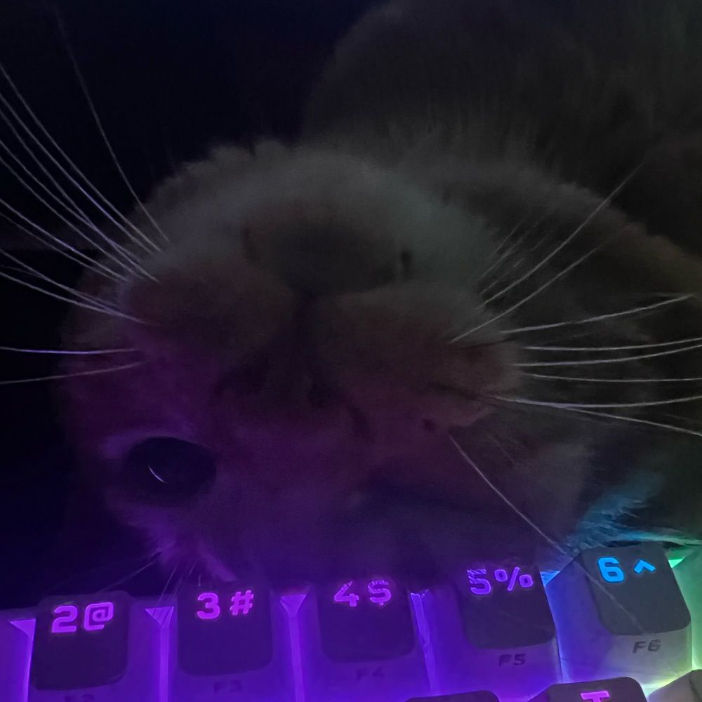 Spoingy 