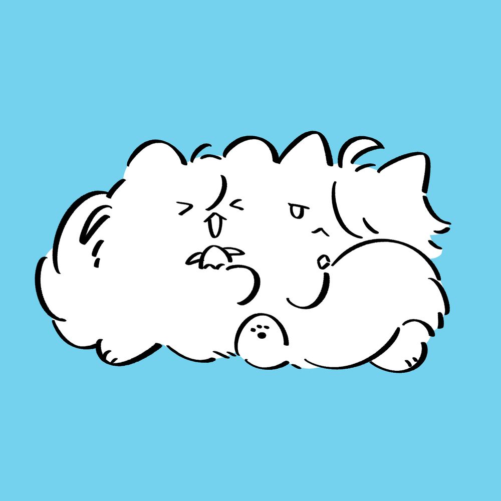 (˙ᴥ˙)