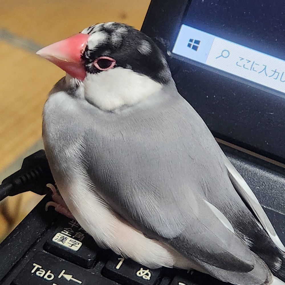 東雲はるか