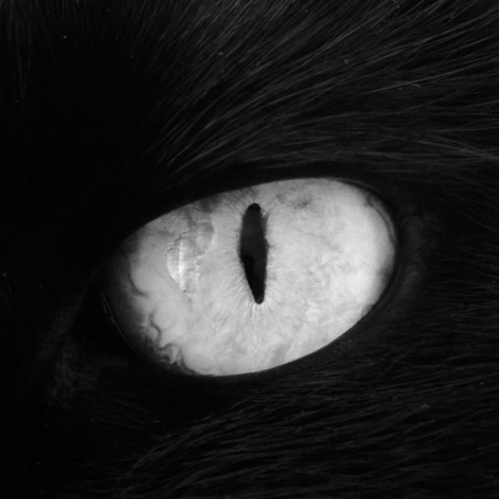 Spooky