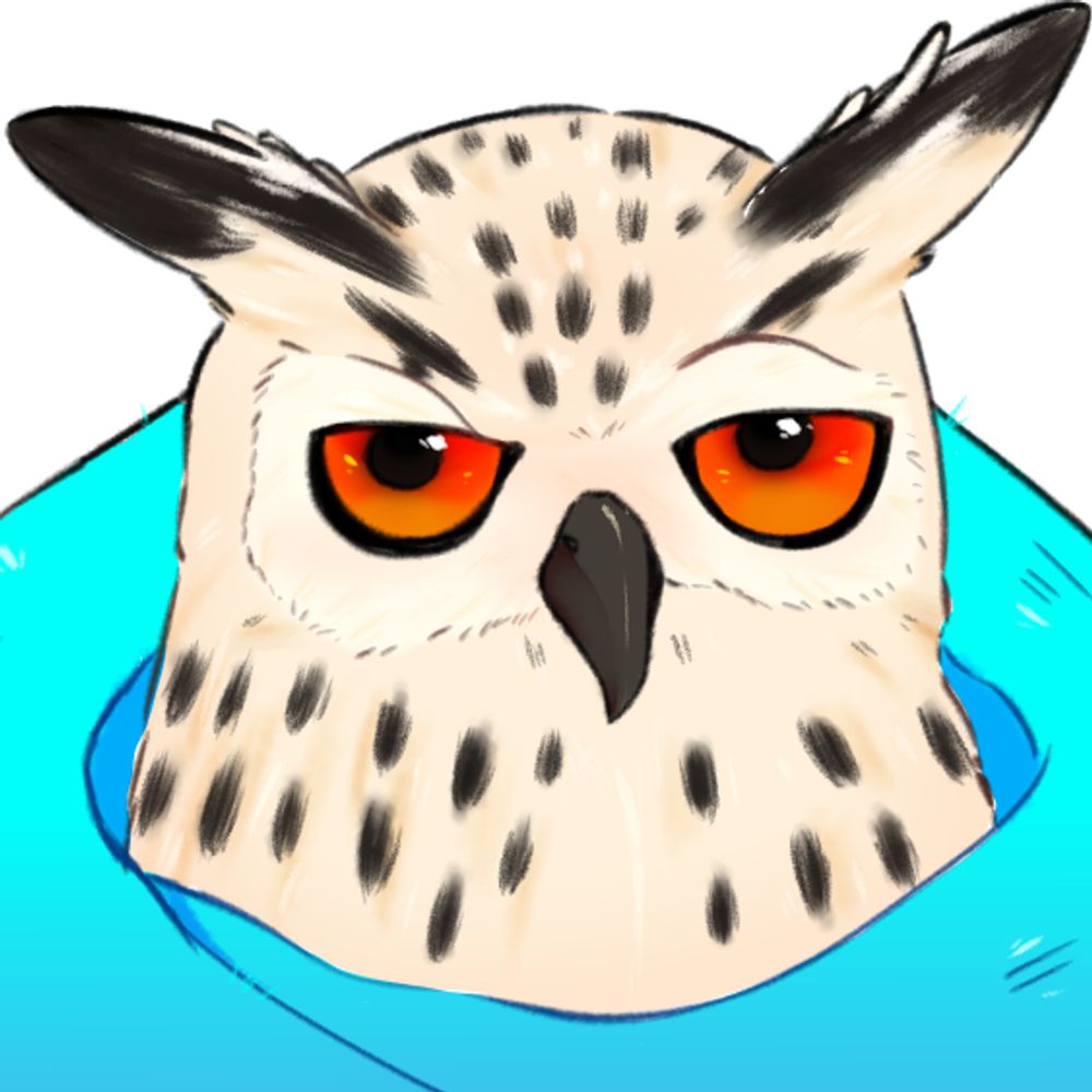 OwlTowel