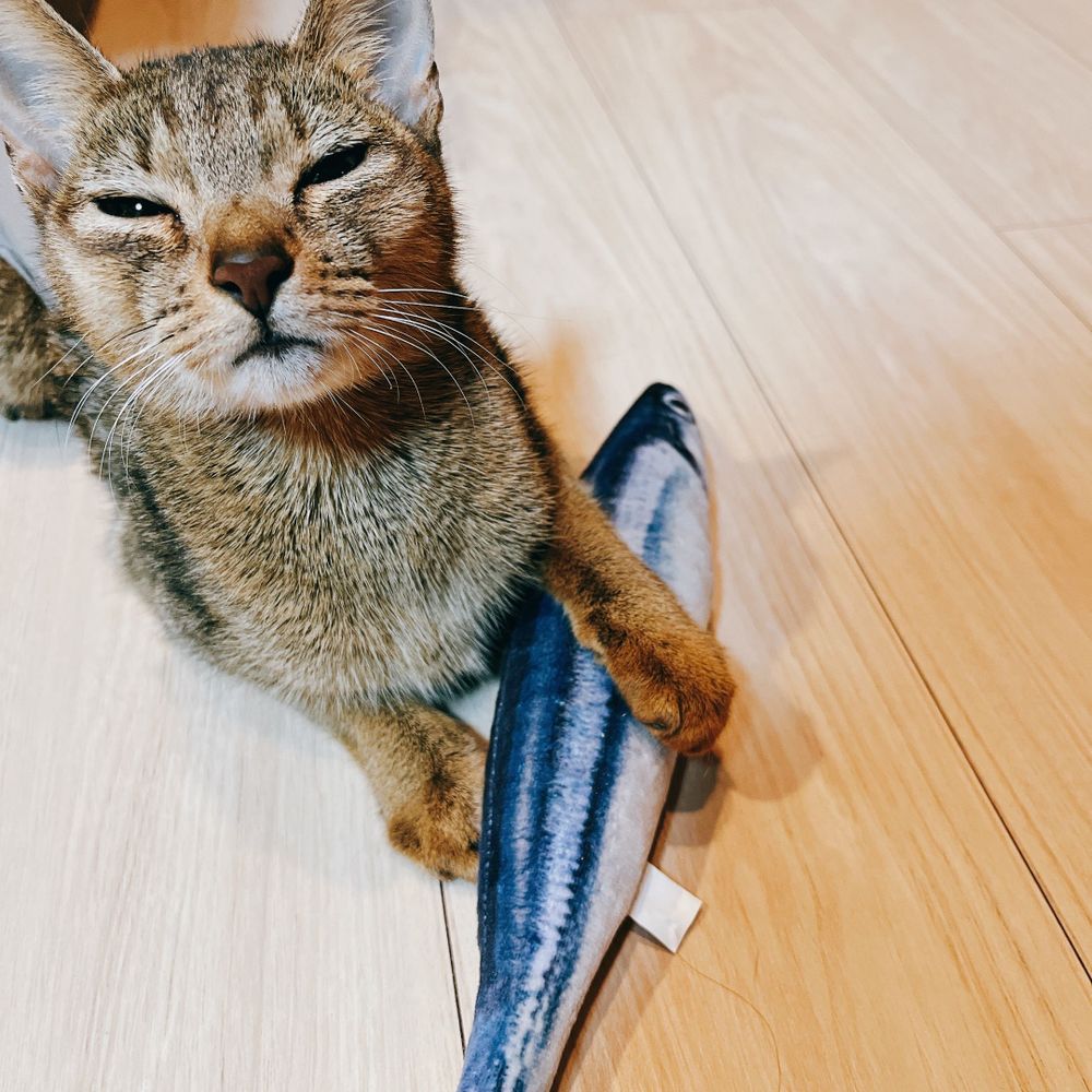まー