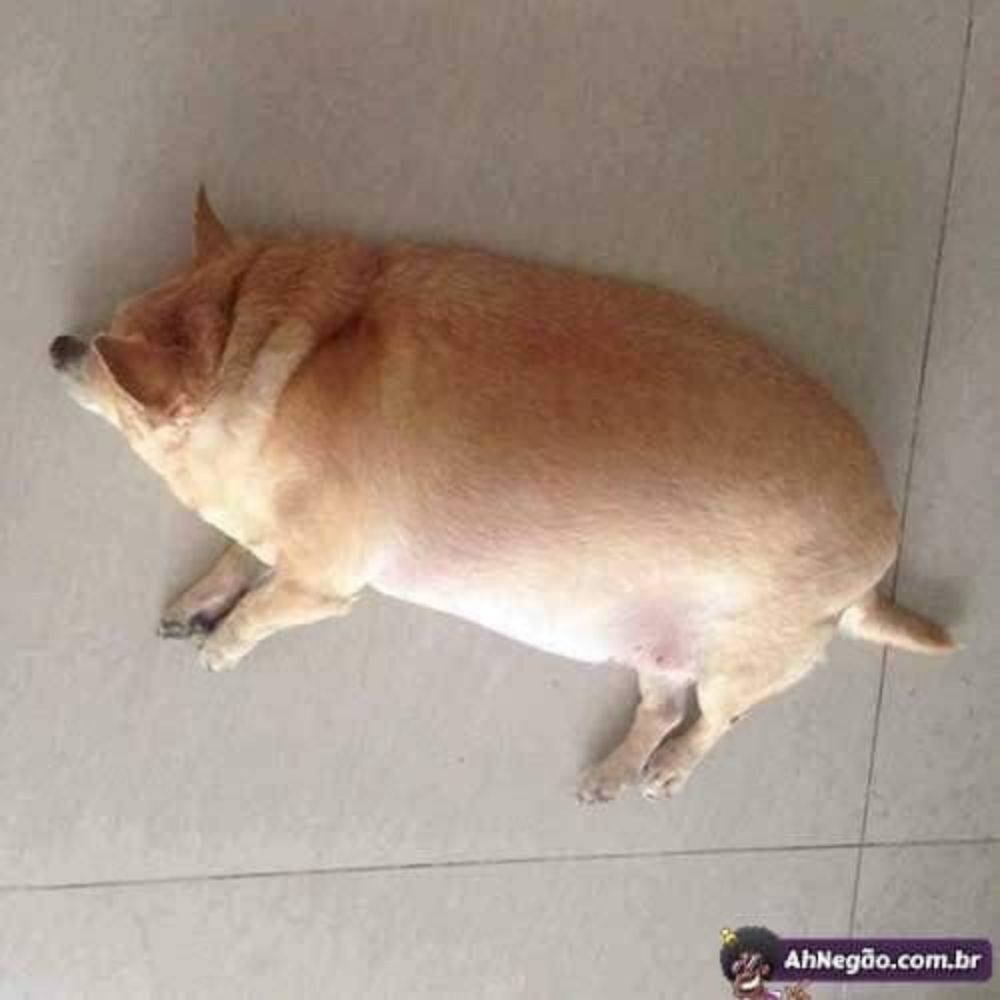 쓰팔매질
