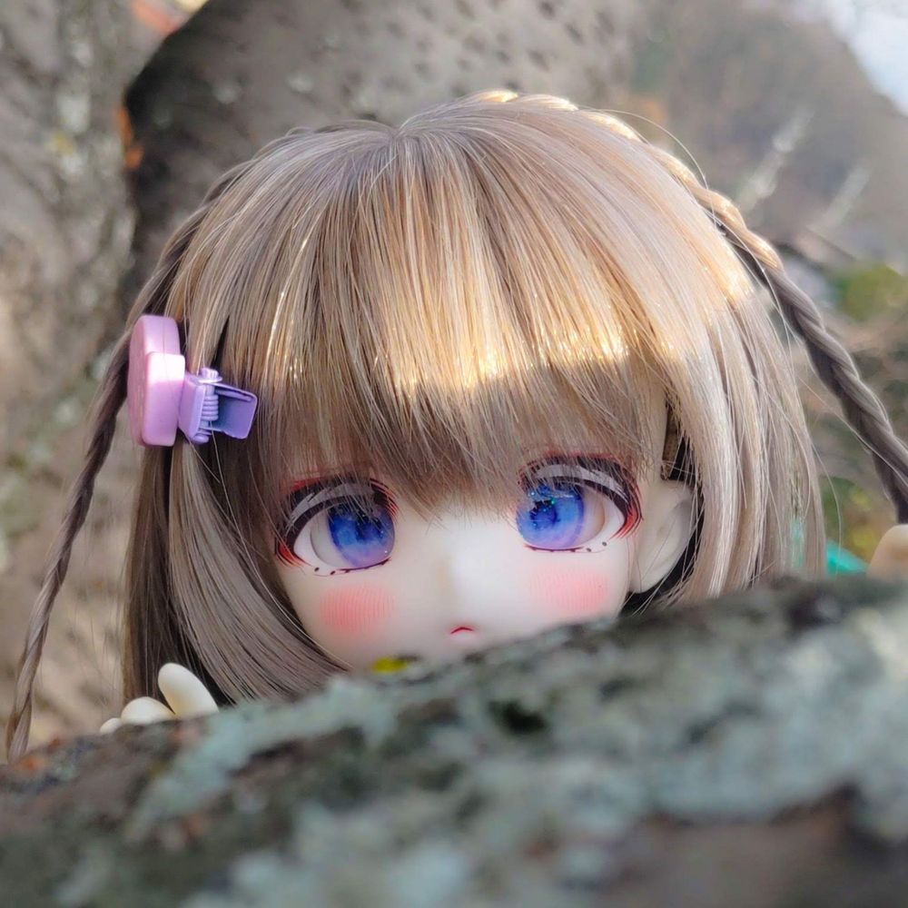葵