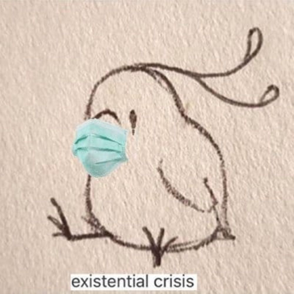 oɐɔıu