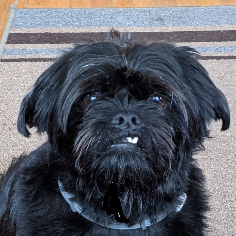 AnaHarry